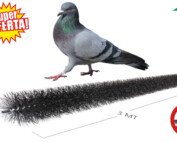 Scovolo per pannelli fotovoltaico